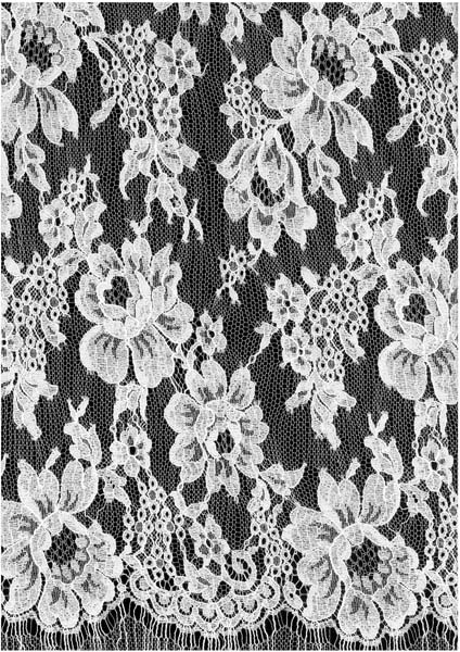 French Corded Lace (140cm) - Ivory